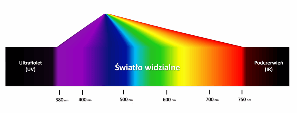 Źródło: Englishsquare.pl Sp. z o.o., licencja: CC BY-SA 3.0. Widma barw światła widzialnego. Światło widzialne graniczy z ultrafioletem i podczerwienią – widmami światła, które są niewidoczne dla siatkówki ludzkiego oka.